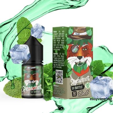 Сольова рідина для под систем In Bottle Spearmint 30 ml 30 mg 2201 фото